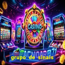 grupo de sinais fortune rabbit